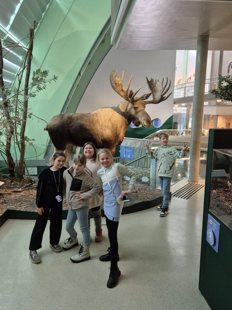 WhatsApp Image 2025-02-17 at 11.46.15