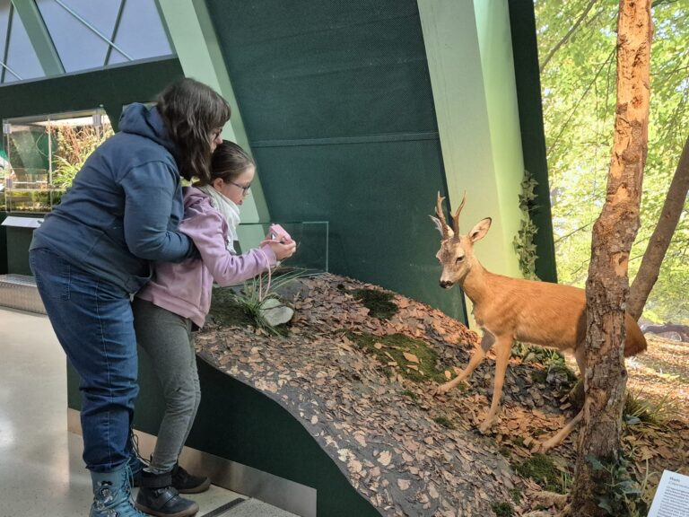 WhatsApp Image 2025-02-17 at 11.47.06(1)