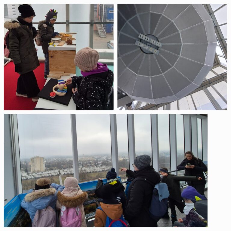 WhatsApp Image 2025-02-17 at 11.50.17