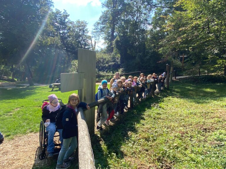 WhatsApp Image 2025-10-03 at 11.02.42