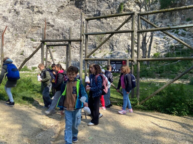 WhatsApp Image 2025-10-03 at 11.02.45