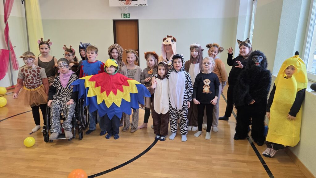 WhatsApp Image 2026-02-17 at 12.29.14