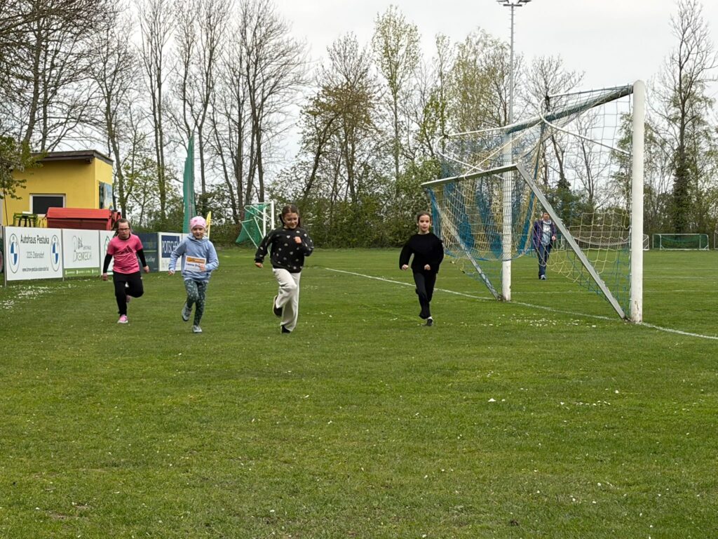 WhatsApp Image 2026-04-13 at 11.14.33(1)